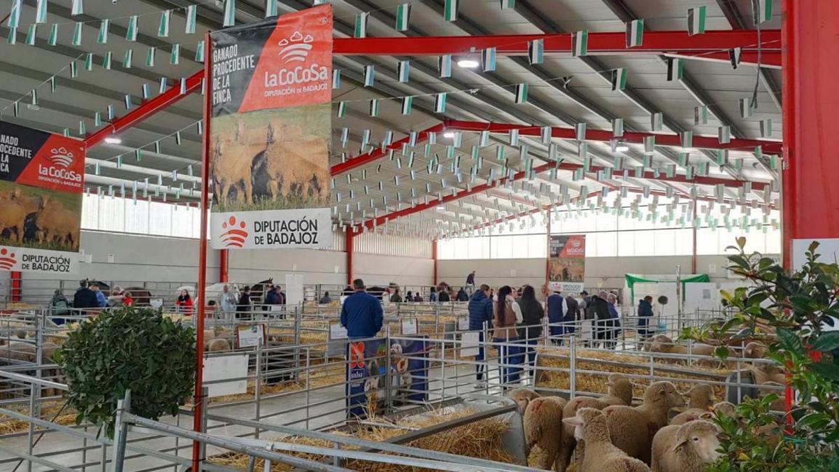 Presentada la convocatoria de subvenciones para la Reactivación de la Economía Local en ayuntamientos y entidades menores