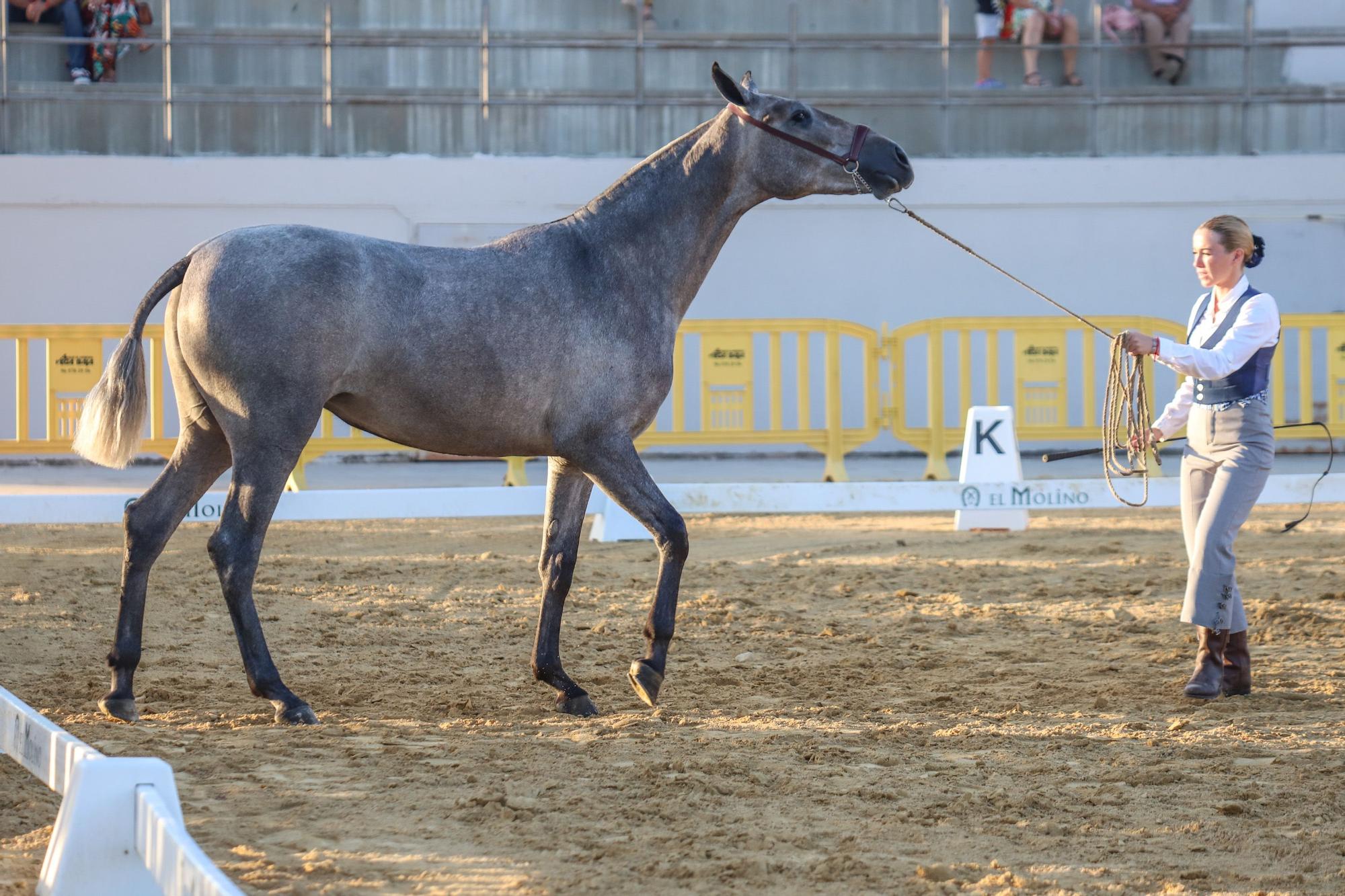 Feria del Ganado Dolores FEGADO 2022