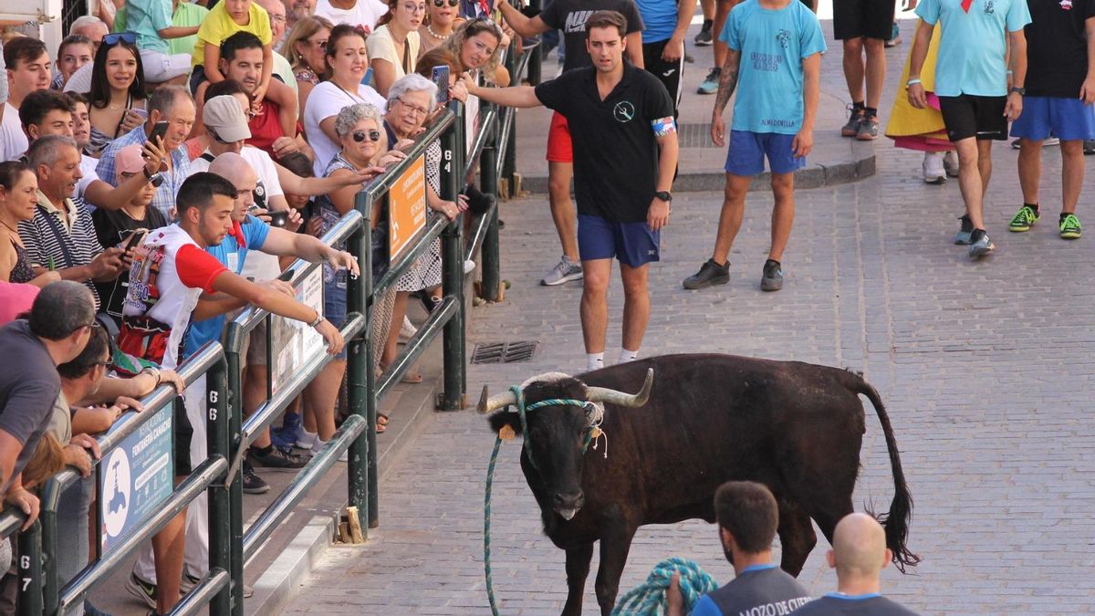 Uno de los toros de la ganadería de Madroñiz.