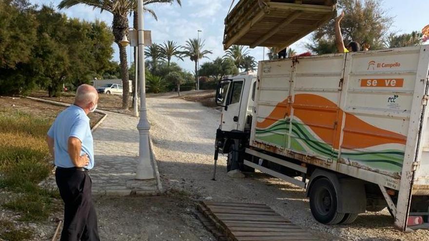 El Campello inicia la instalación de más de 1.200 metros de pasarelas en las playas