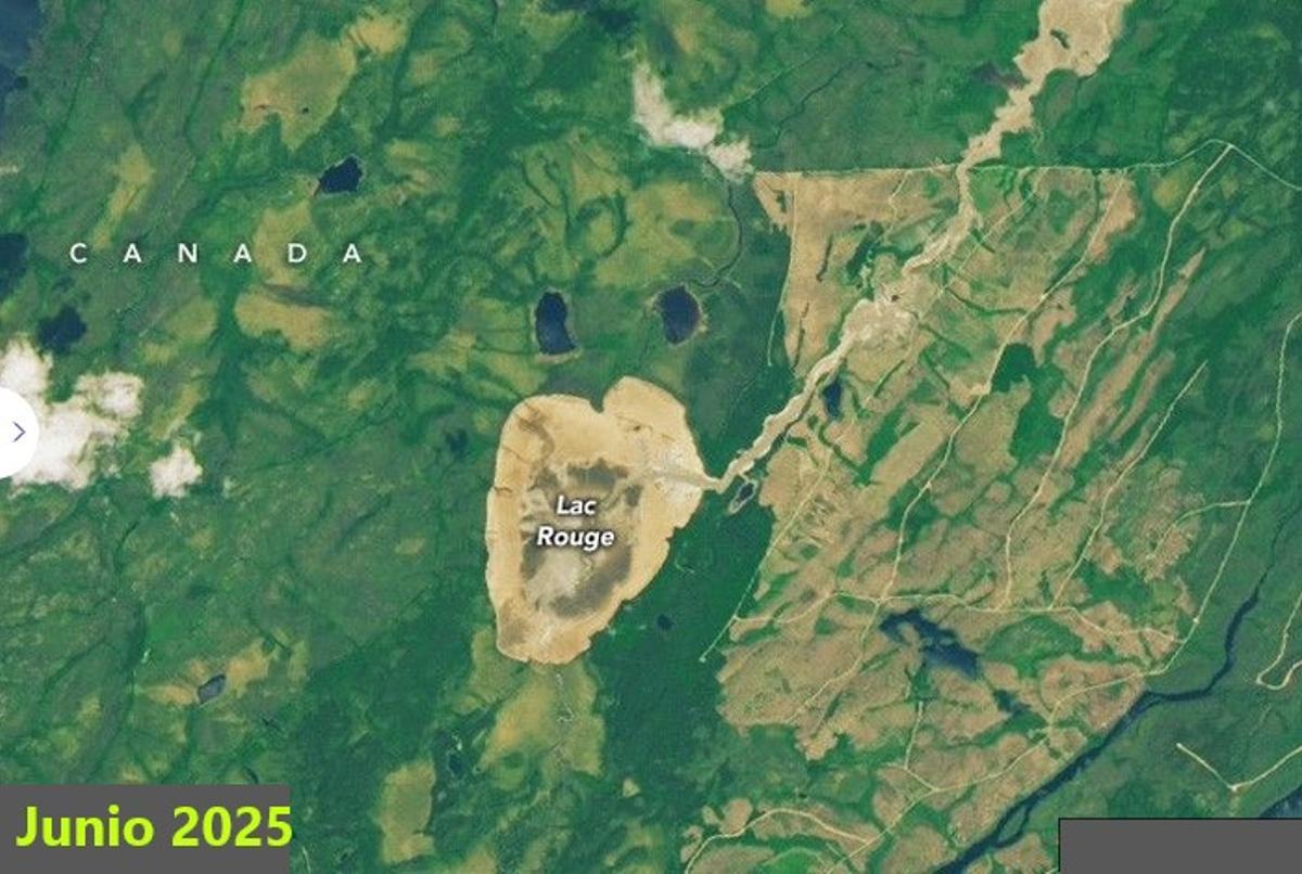 El mismo lago, un año después