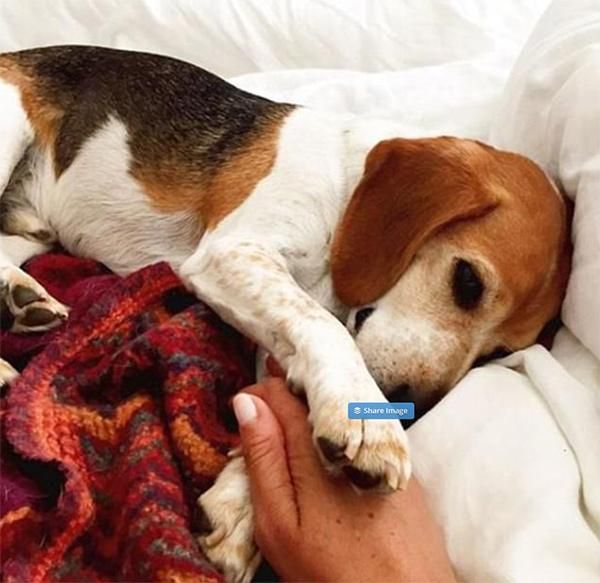 La foto más tierna del Instagram borrado de Meghan Markle