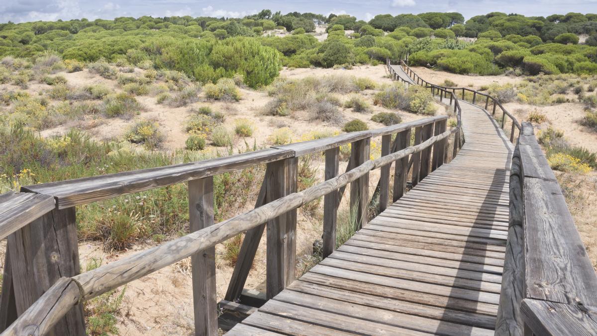 Las dunas en Doñana