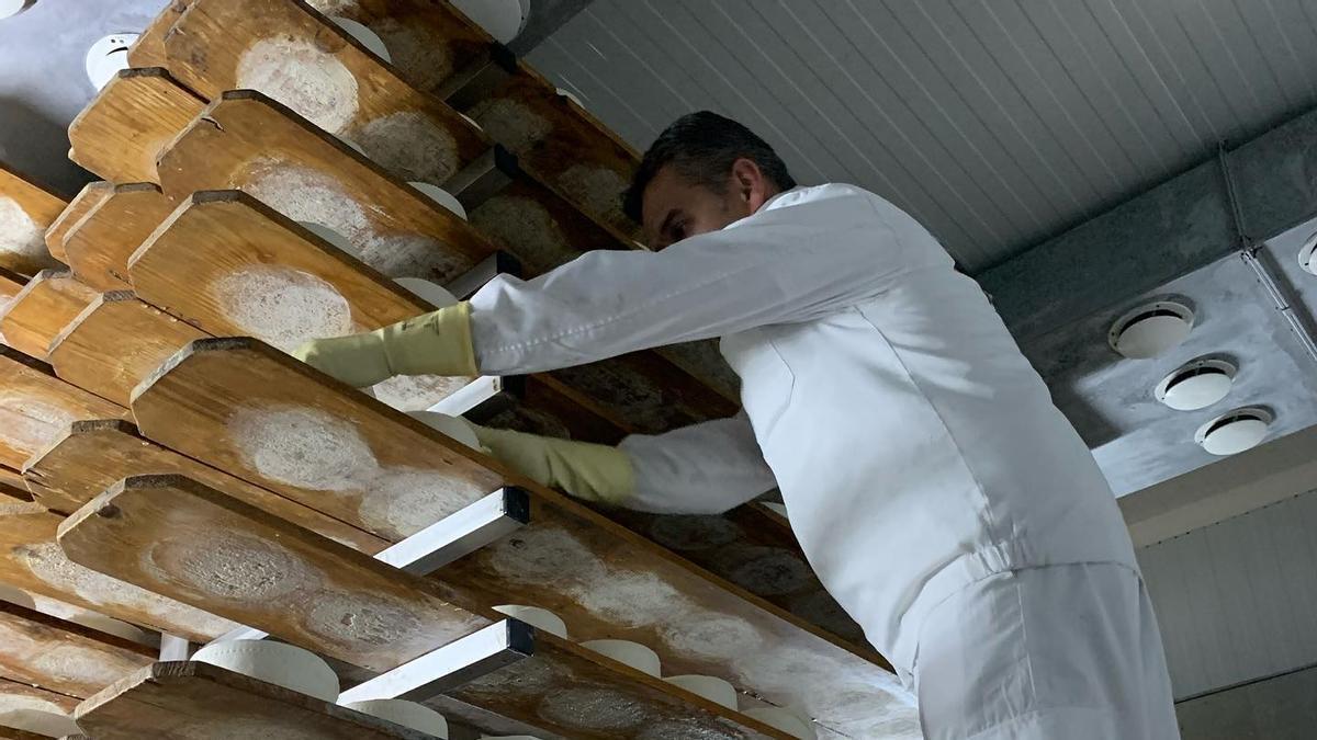 Los quesos de Covica se miman durante todo el proceso productivo.