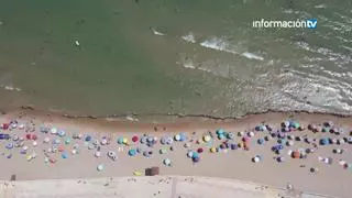 Cadenas humanas en la orilla por la proyección de playas y la reforma de la Ley de Costas