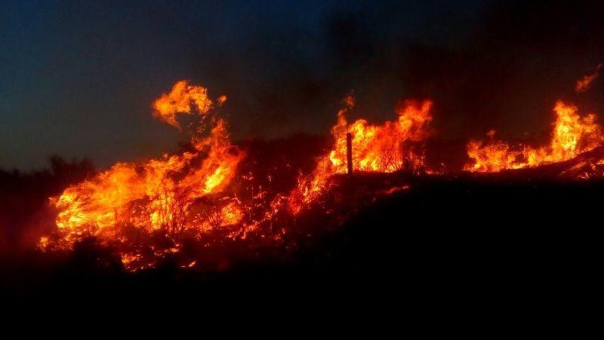 Incendio forestal de Fermoselle en dirección a Pinilla de Fermoselle