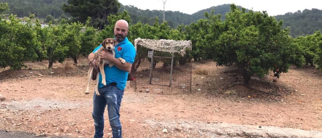 El rescatador de perros - Levante-EMV