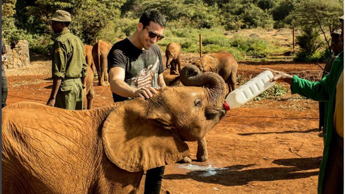 Miguel Ángel Silvestre ayuda a dar el biberón a un elefante de seis meses en Kenia.