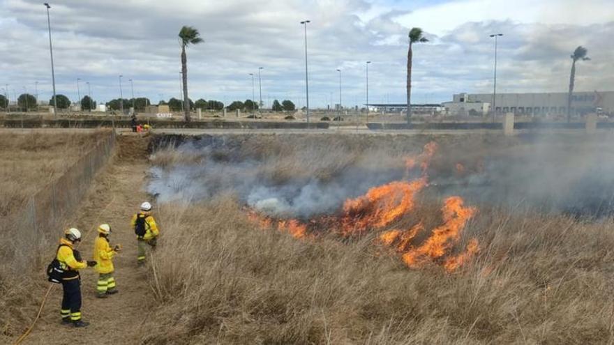 Alzira ensaya las quemas controladas para prevenir incendios