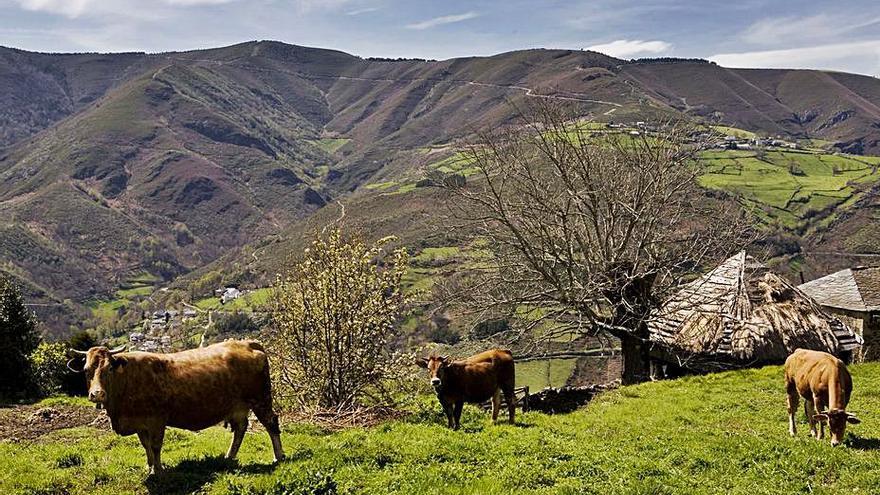 Montañas y valles de la sierra de Os Ancares. |   // L.O.