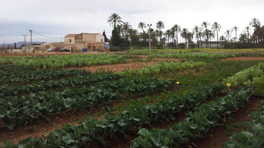 La UPCT lidera un proyecto de 10 millones para lograr una agricultura más sostenible