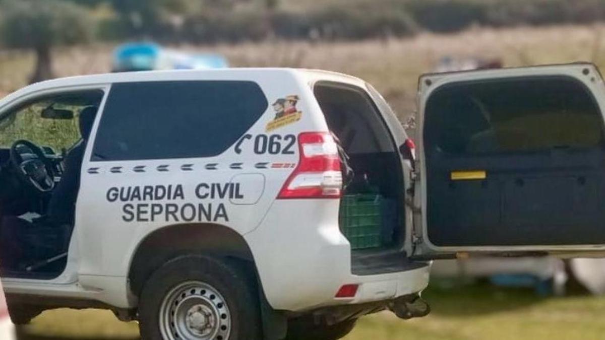 Agentes de la Guardia Civil en el medio rural aragonés en una imagen de archivo.