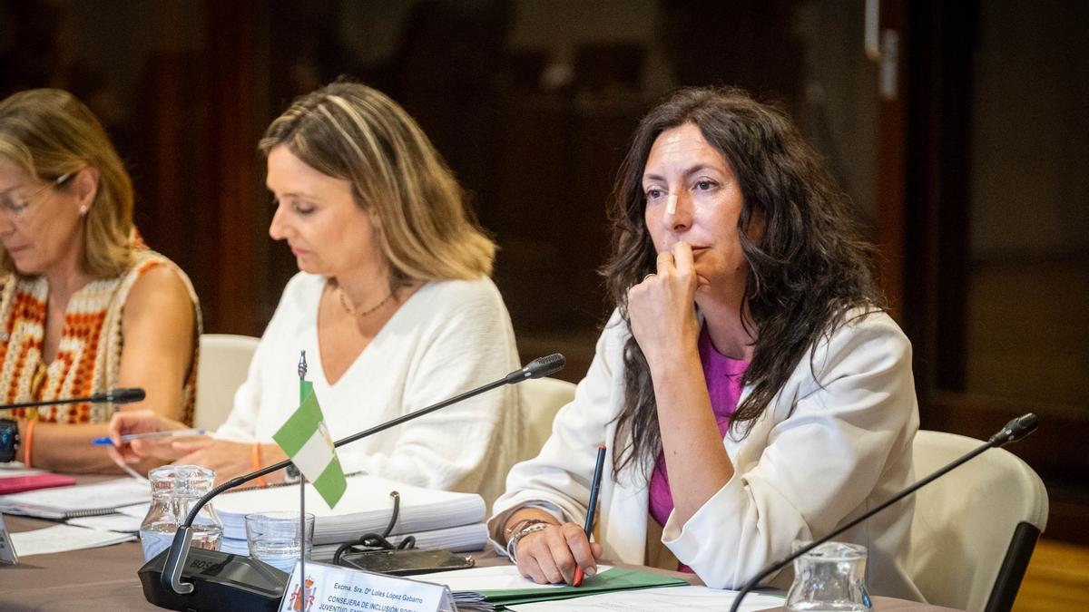 La consejera de Inclusión Social, Loles López, en la Conferencia Sectorial de Infancia y Juventud celebrada este miércoles en Canarias.