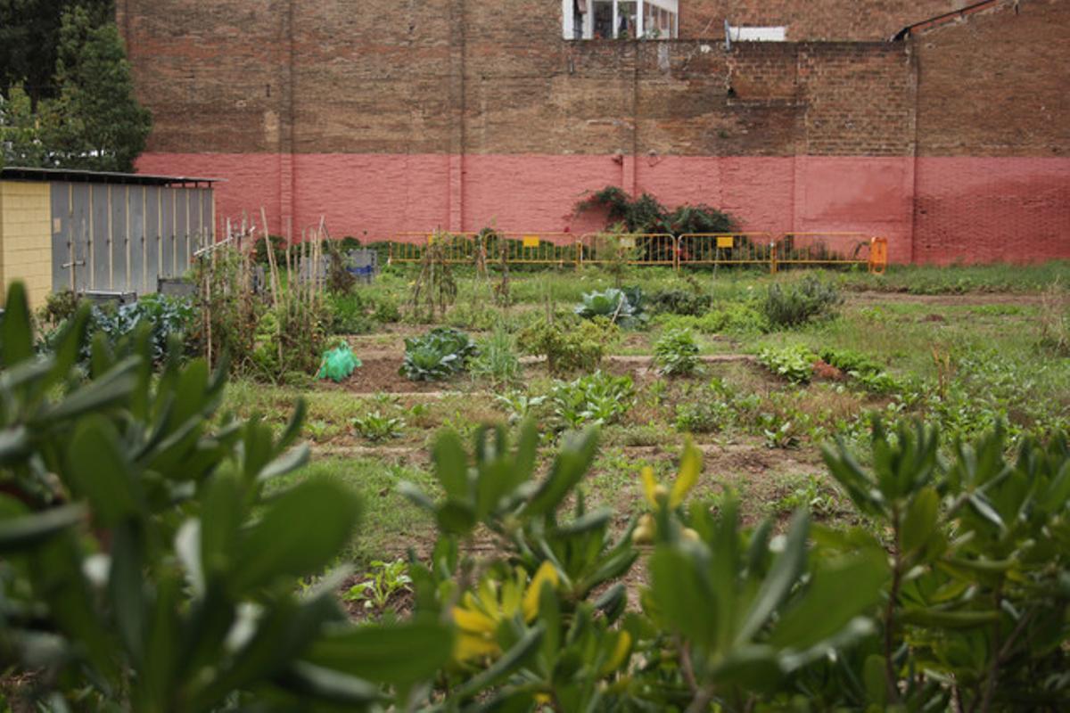 Hort urbà de l’Eixample, Barcelona.