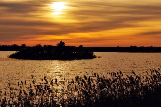 Parque Nacional de Doñana