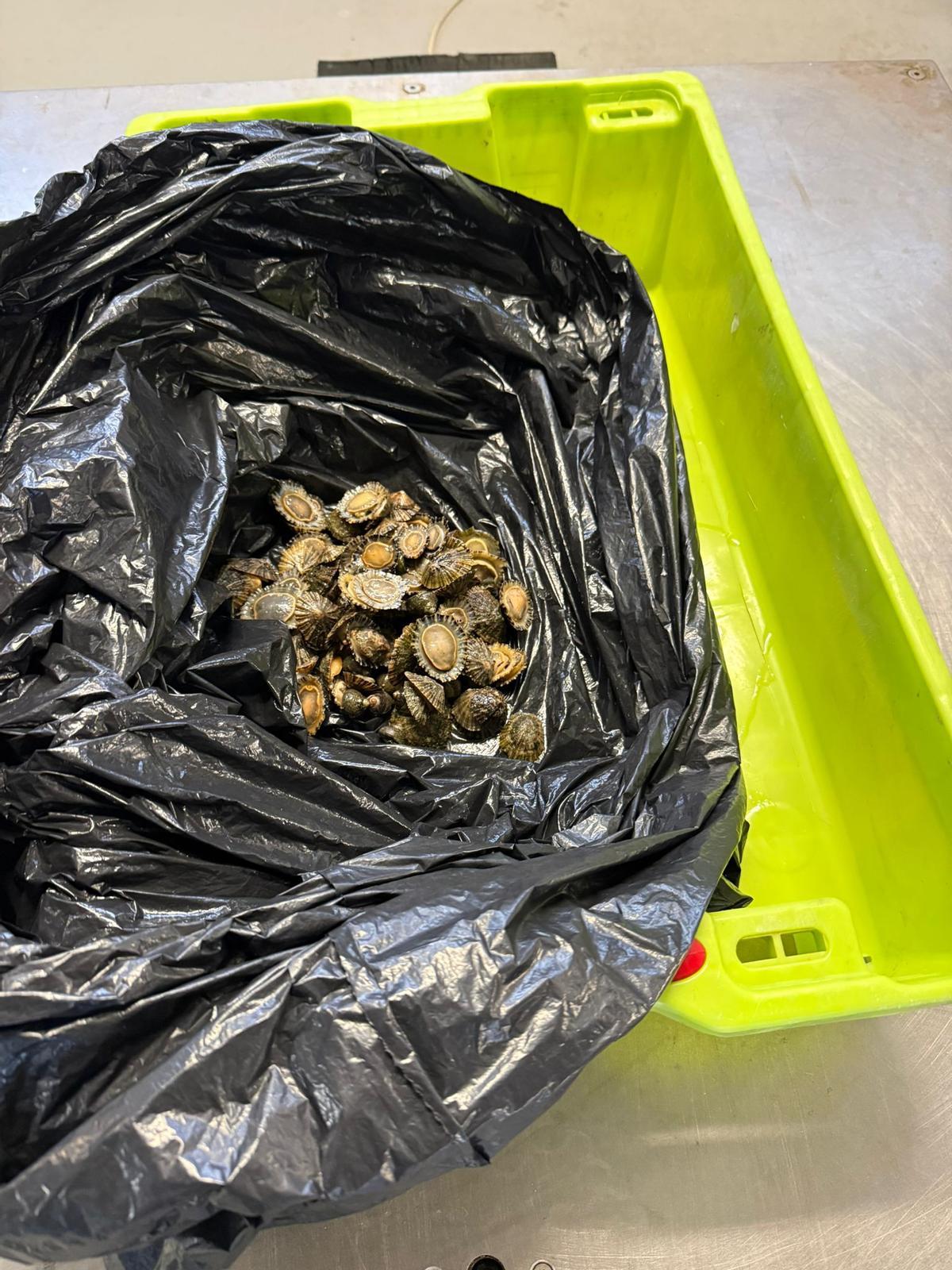 Las llámparas inautadas por los agentes.