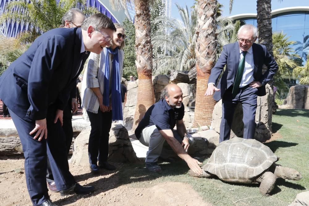 Inauguración del nuevo Oceanogràfic