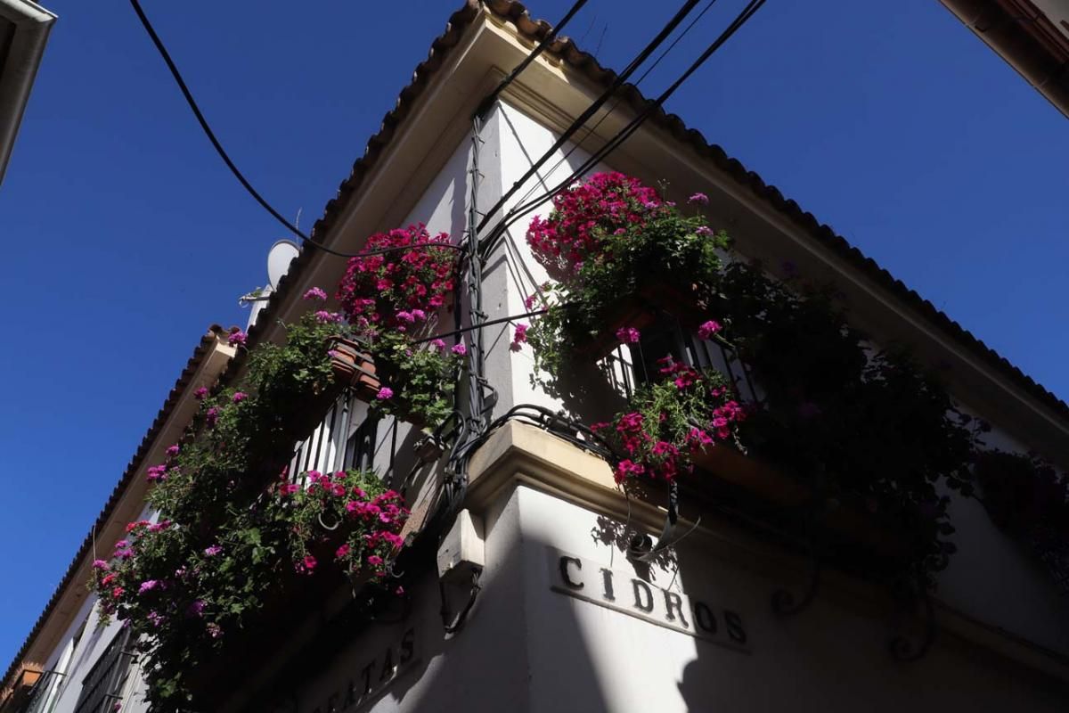 Rejas y balcones en junio