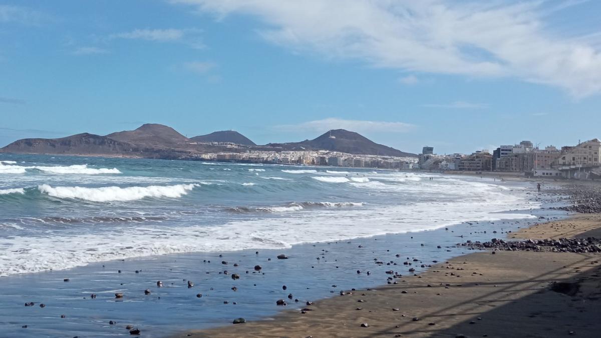 La primavera verde de Gran Canaria 2022