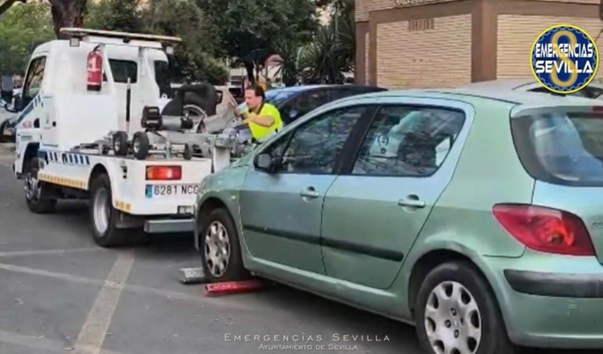 Operarios de la grúa municipal inmovilizan el vehículo en el que circulaba el conductor sin carnet.