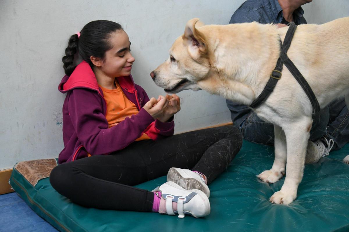 Terapia con perros en el colegio Virgen del Castillo de Zamora