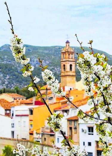 UN PAISAJE MORISCO A LOS  PIES DE LA  PENYA FORADÀ