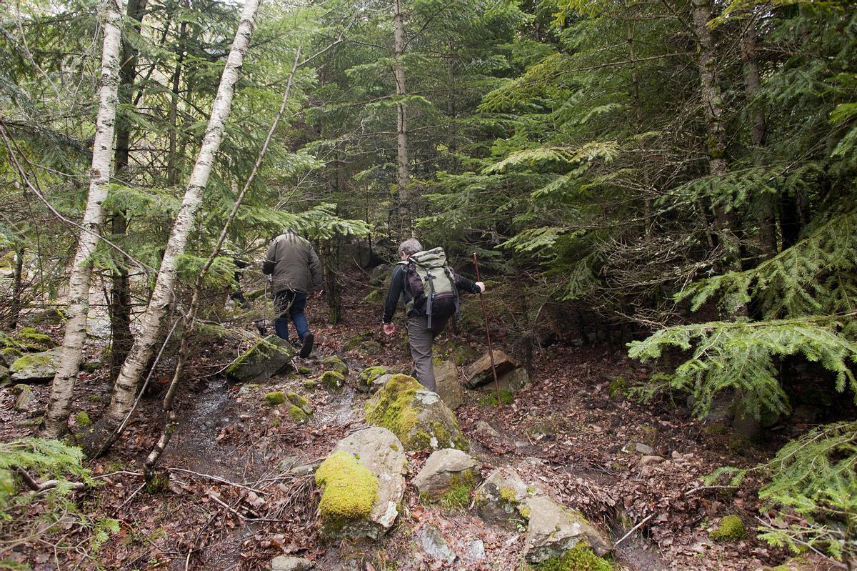 Agredit un vigilant d’un parc natural per impedir el pas a un motorista