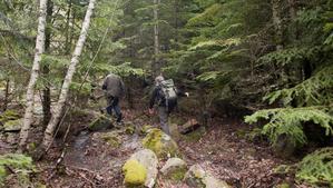 Agredit un vigilant d’un parc natural per impedir el pas a un motorista