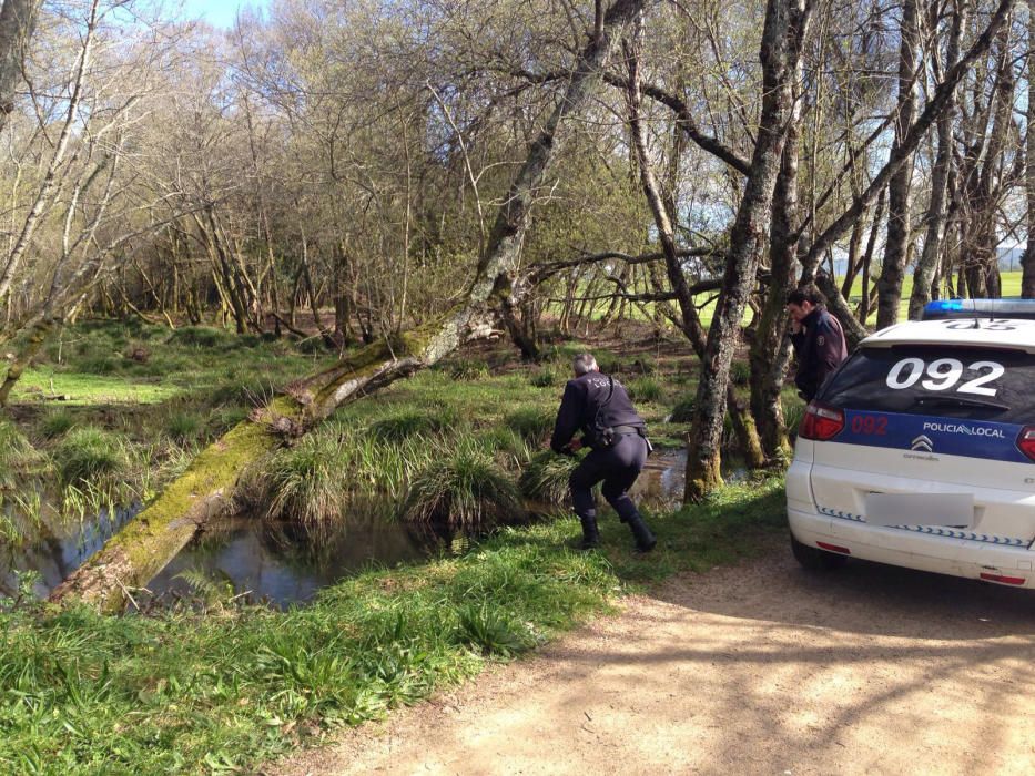 Vertido de chapapote en el río Lagares de Vigo