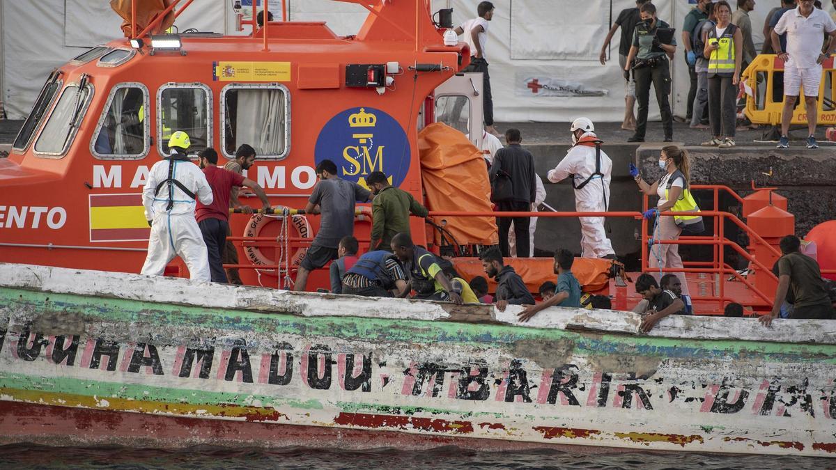 Los servicios sanitarios atienden a migrantes llegados en cayuco al puerto de La Restinga, a 31 de agosto de 2024, en El Hierro.