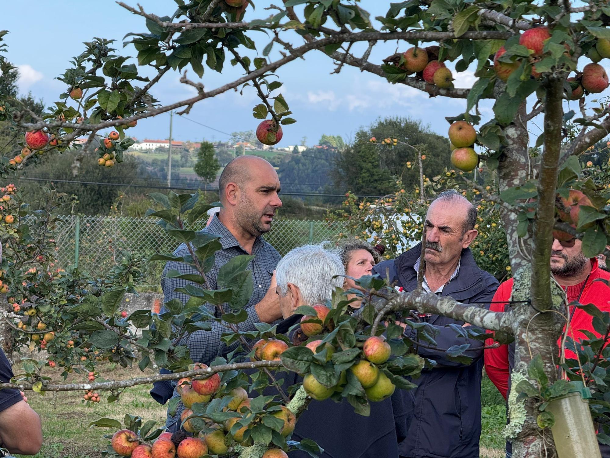 El SERIDA explica sobre el terreno las medidas de protección contra las plagas de roedores en pomaradas