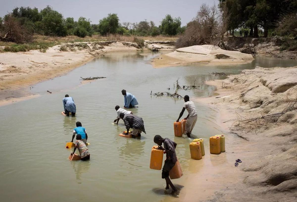 El Niño podria encarir fins a un 15% les matèries primeres alimentàries