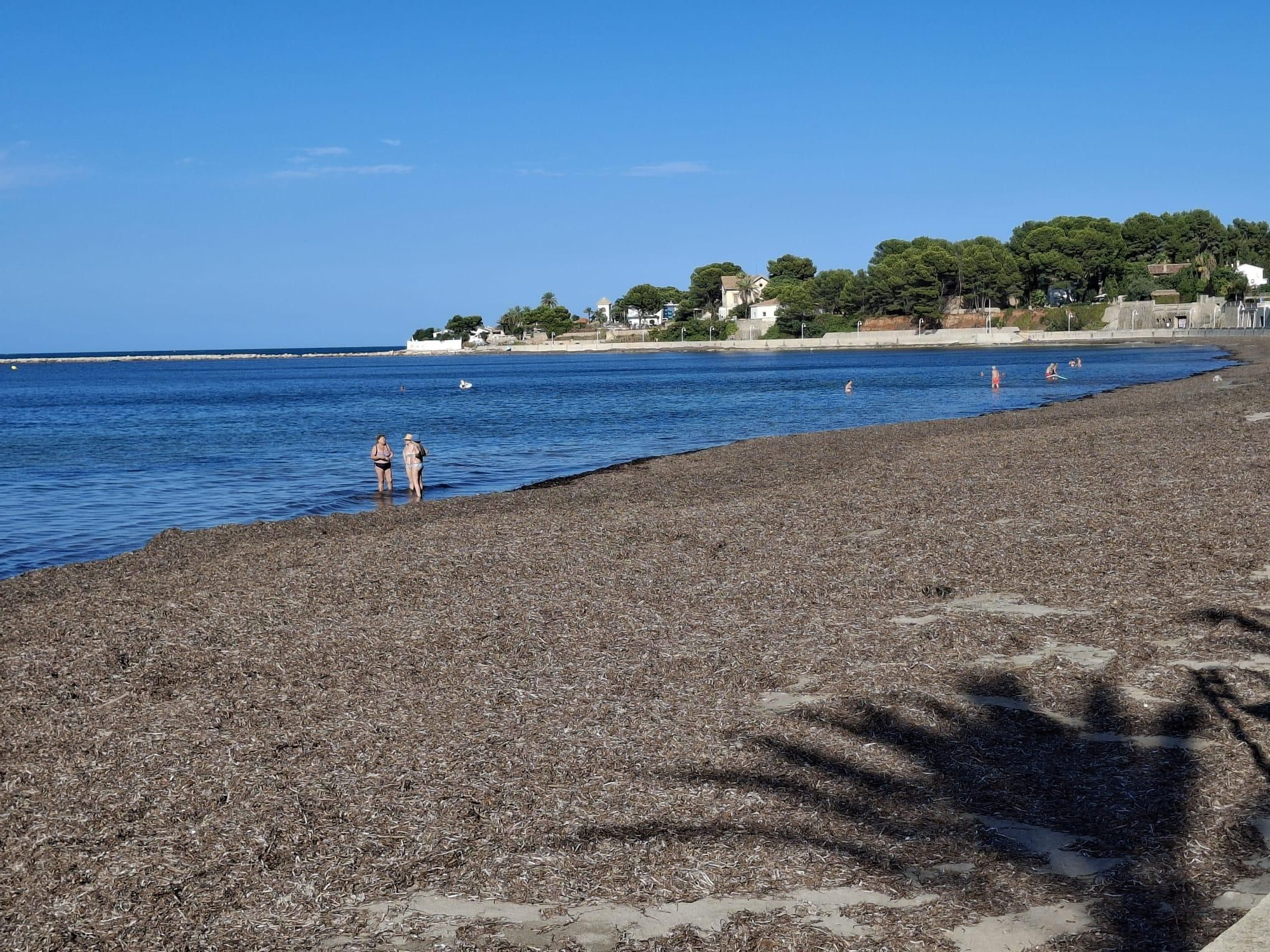 ¡Esto es vida!: manto de posidonia, aguas cristalinas y paz absoluta en la Marineta Cassiana de Dénia