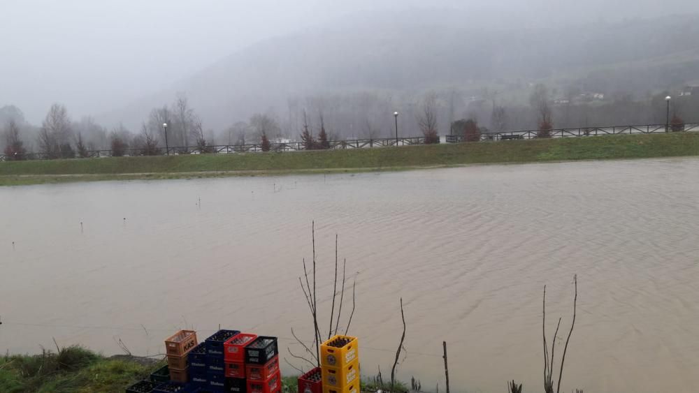 Tiempo en Asturias: Las espectaculares imágenes de las riadas, argayos e incidencias del temporal