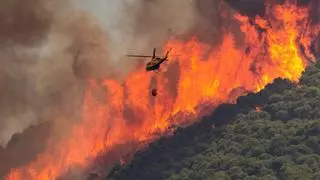 Zamora entra en peligro medio de incendios forestales el 31 de marzo