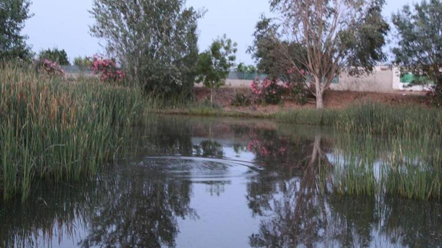 La ‘Ruta de las Encantás’ se celebrará mañana para no coincidir con otros actos