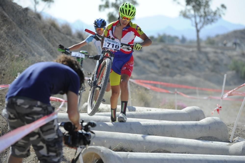 Mountain bike en Molina de Segura