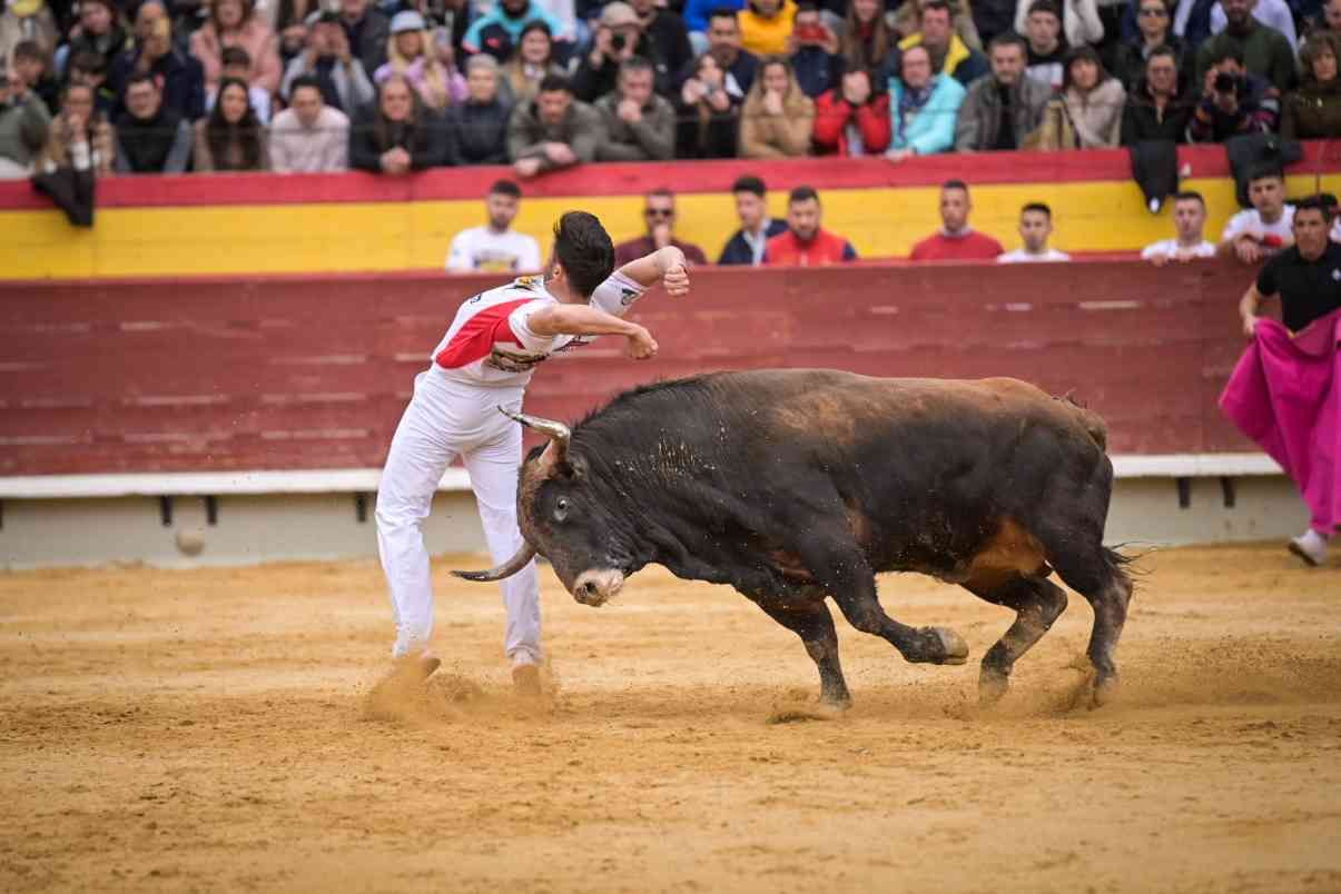 Así ha sido el Concurso Nacional de Recortadores de Castellón