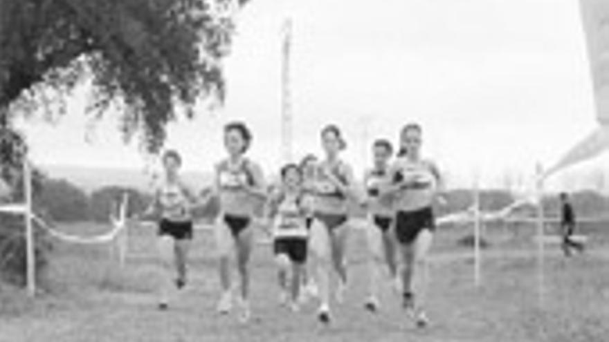 El Club Navalmoral-Almaraz se la juega en la Liga Regional de Cross