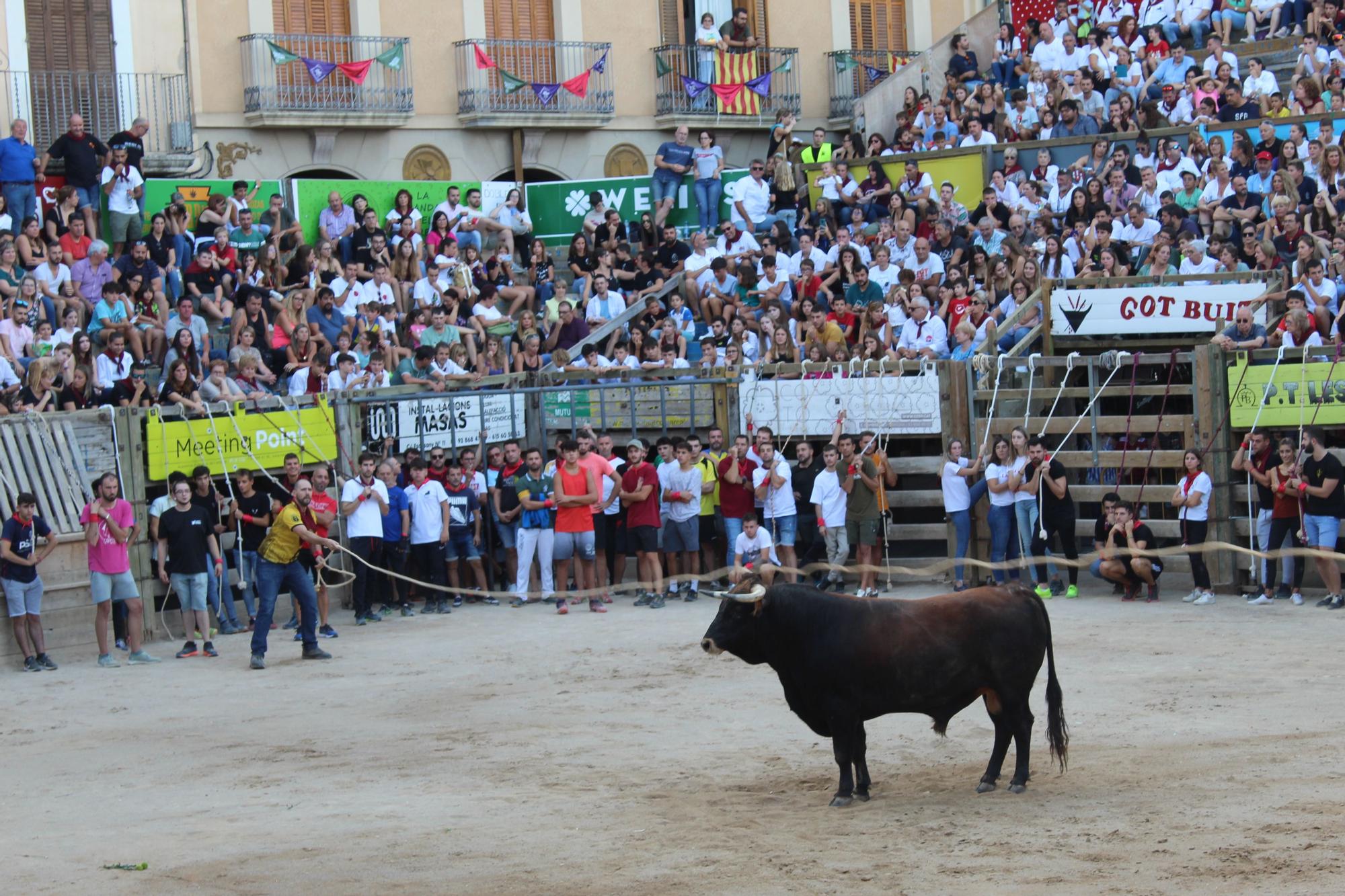 Correu bou