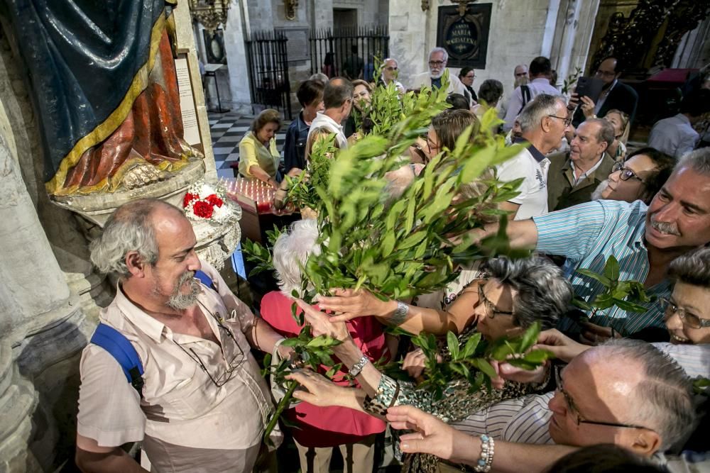 Fiesta de San Salvador en la Catedral