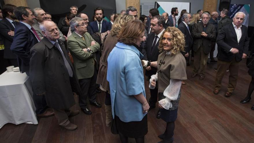 Mallada: "Hunosa ha sido la empresa de Asturias, y a veces injustamente  pagada" - La Nueva España