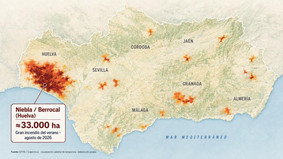 57.500 hectáras quemadas, 260 fuegos forestales y 14 fallecidos