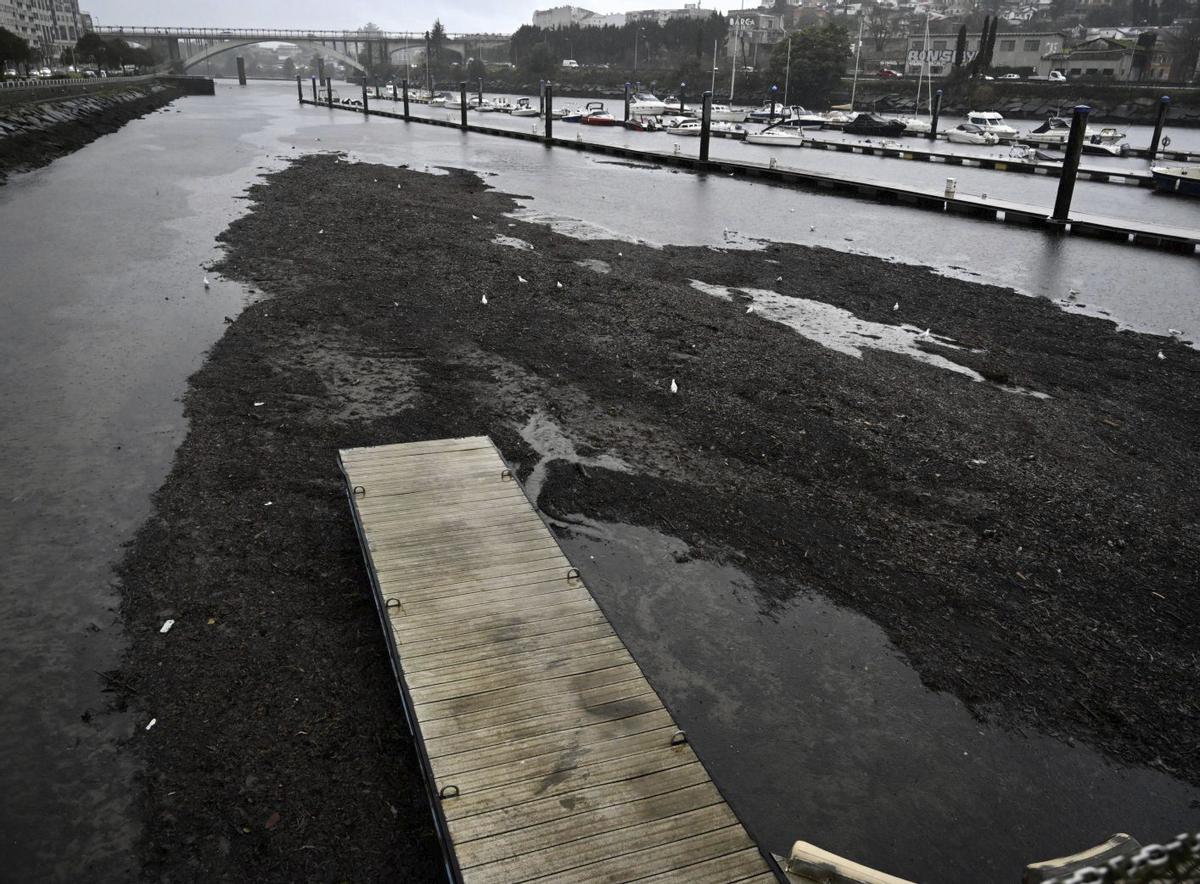 Lodos y áridos que se acumulan en los pantalanes del Club Naval en el río.