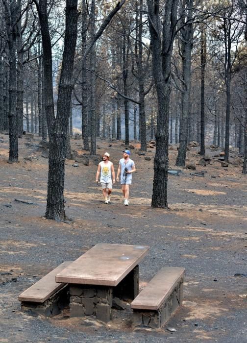 INCENDIO CUMBRE GRAN CANARIA