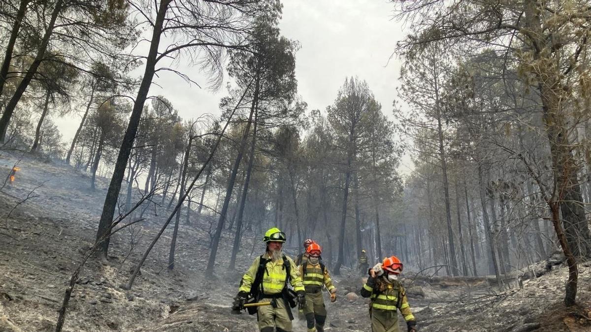 Declarado un incendio forestal en la localidad de Sigüés (Zaragoza)