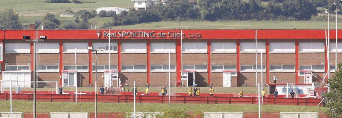 Vivero para hacer historia en el fútbol