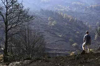 Desalojos y algunos retornos a las cenizas en plena actividad para apagar los incendios que quedan activos en España