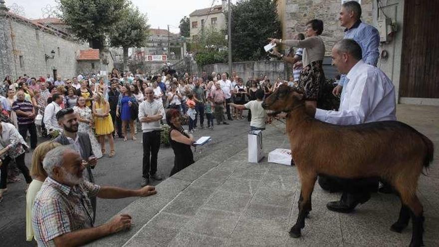 Los vecinos participan en la puja de una cabra. // Ricardo Grobas