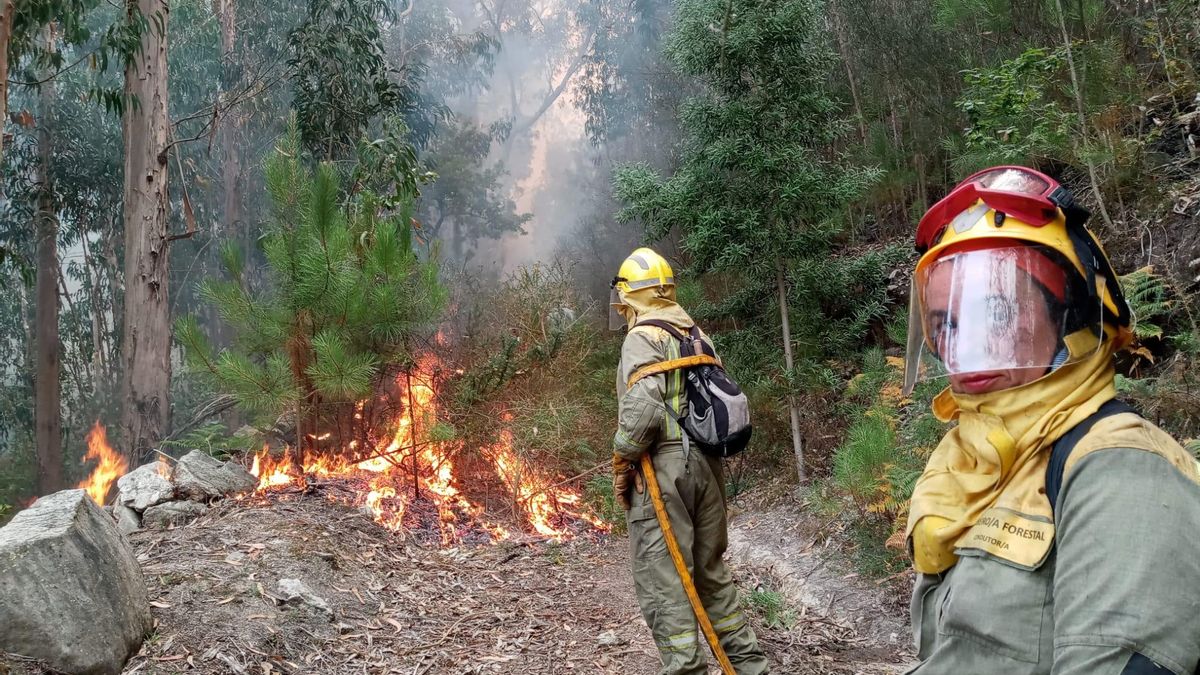 Agentes forestales trabajan en el incendio de Baiona